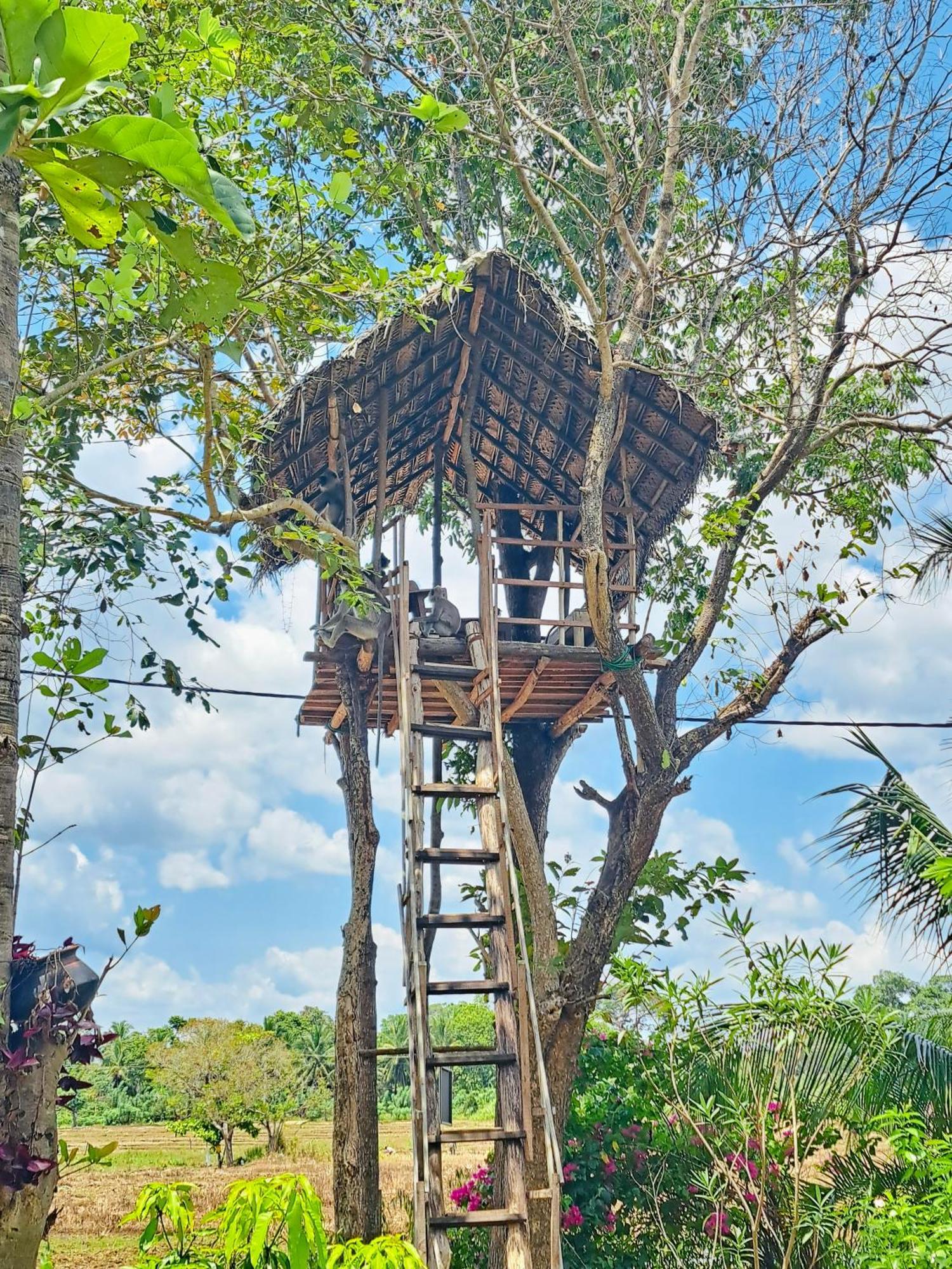 Lucky Villa สิกิริยา ภายนอก รูปภาพ