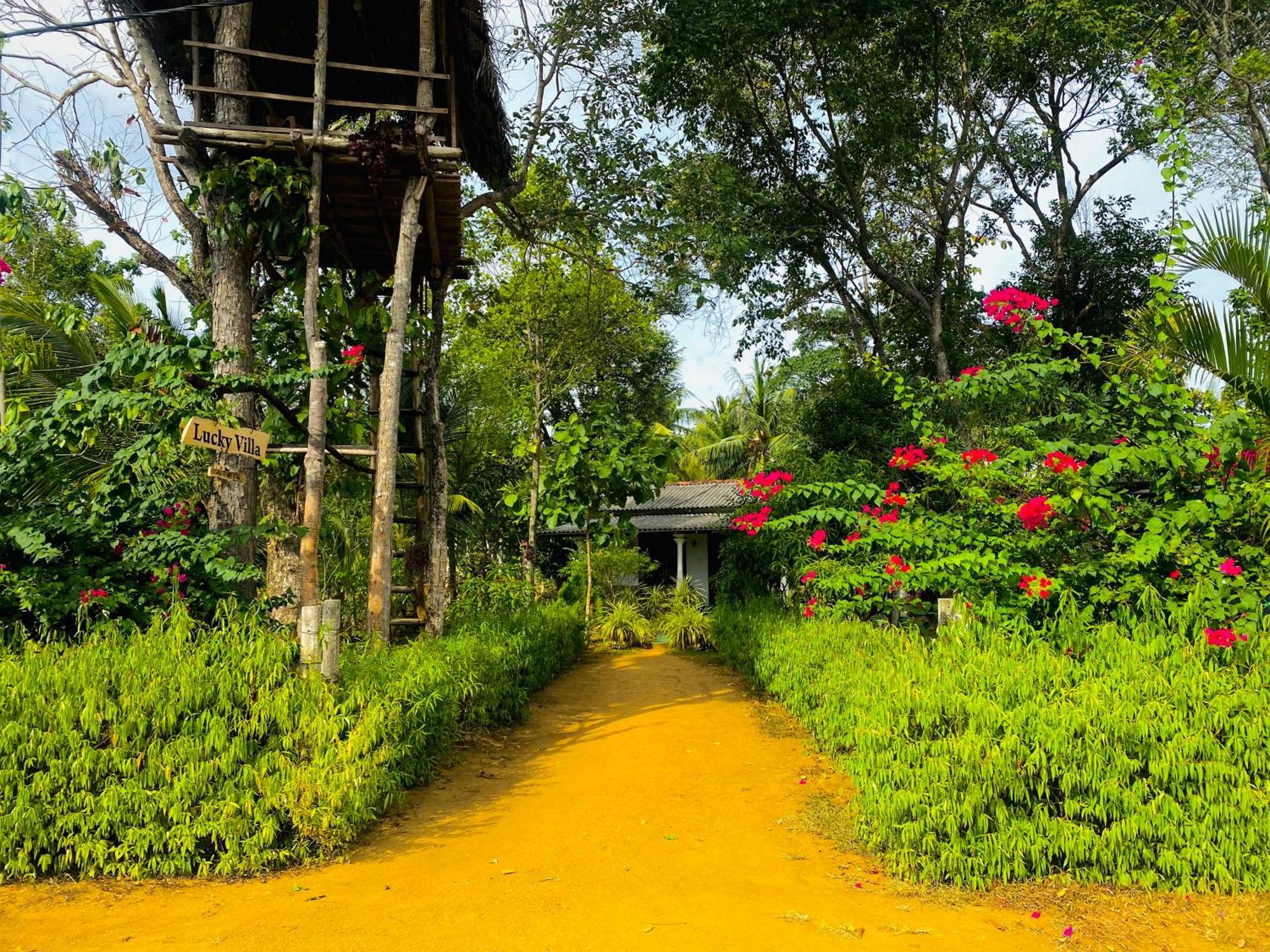 Lucky Villa สิกิริยา ภายนอก รูปภาพ